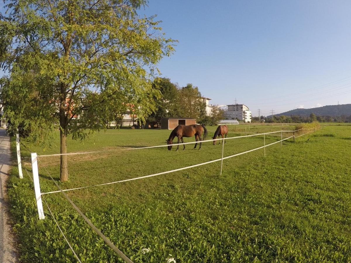 Pearl Of Sava Wild Waters Villa Ljubljana Bagian luar foto